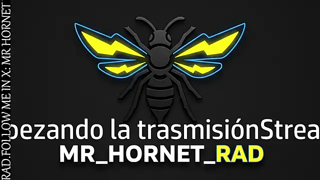 Snapshot of s_hornet chatting on 04/23/26, 02:51 s hornet online show from 04/23/26, 02:51