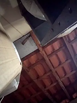 Snapshot of Fefe2805 chatting on 02/25/26, 08:19 Fefe2805 online show from 02/25/26, 08:19