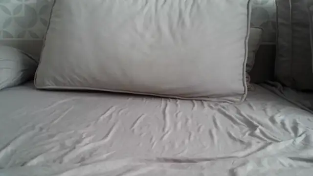 Snapshot of apollo81 chatting on 02/18/26, 09:50 apollo81 online show from 02/18/26, 09:50