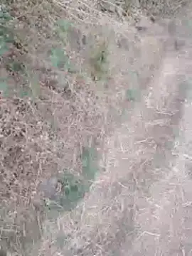 sexyboy 917 online show from 03/30/26, 01:18