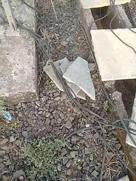 sexyboy 917 online show from 04/01/26, 02:02