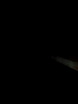 Dariralf online show from 02/17/26, 12:19