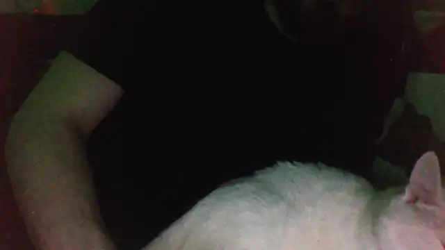 KaelNox online show from 03/31/26, 11:40