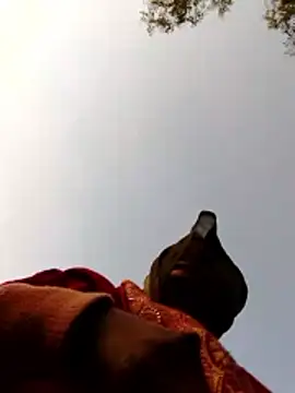 Jyoti sekh online show from 02/10/26, 02:10