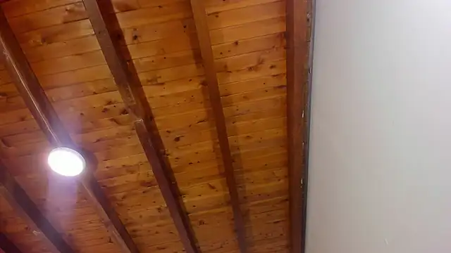 Im FelixHunter online show from 04/14/26, 11:26