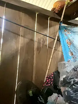 siorin 24 online show from 01/10/26, 07:47