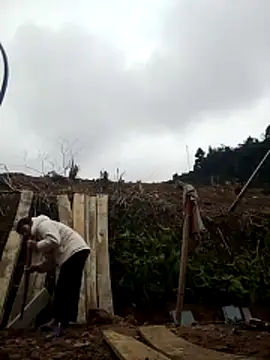 Asami 6868 online show from 02/10/26, 02:10