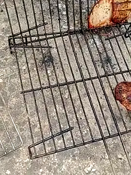 GanaderoMorboso online show from 04/12/26, 12:19