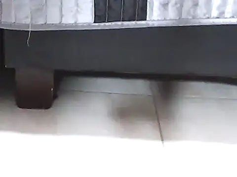 Ellatin15 online show from 02/26/26, 08:47