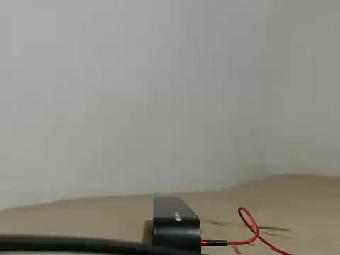 Elizabeth manzon online show from 04/14/26, 08:36