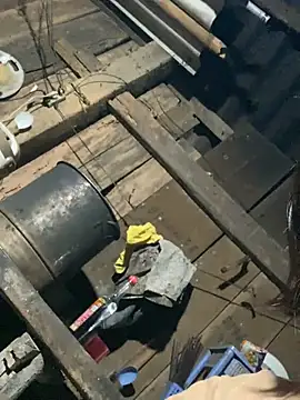 Snapshot of Some-03 chatting on 01/19/26, 11:14 Some-03 online show from 01/19/26, 11:14