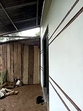 xiaogoal online show from 03/24/26, 02:44