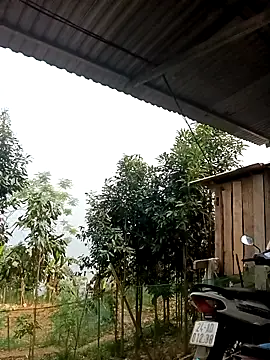 xiaogoal online show from 04/14/26, 02:05