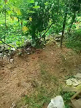 SLfilig online show from 07/18/26, 03:26