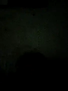 paladito01 online show from 03/23/26, 04:45