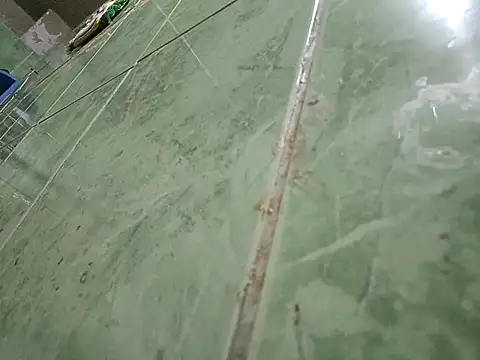 Snapshot of paladito01 chatting on 02/07/26, 12:29 paladito01 online show from 02/07/26, 12:29