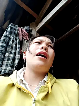 vanvan005 online show from 01/19/26, 06:06