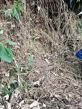 Snapshot of vanvan005 chatting on 03/31/26, 10:28 vanvan005 online show from 03/31/26, 10:28