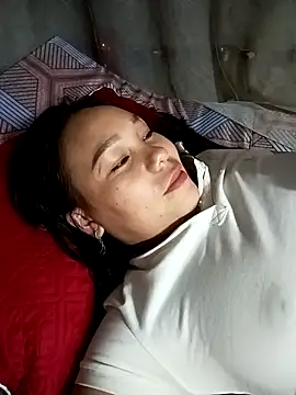 Snapshot of vanvan005 chatting on 03/03/26, 12:45 vanvan005 online show from 03/03/26, 12:45