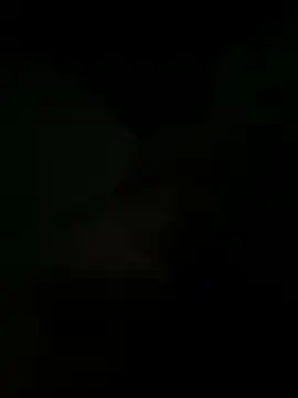 Snapshot of biggmine chatting on 08/04/26, 03:55 biggmine online show from 08/04/26, 03:55
