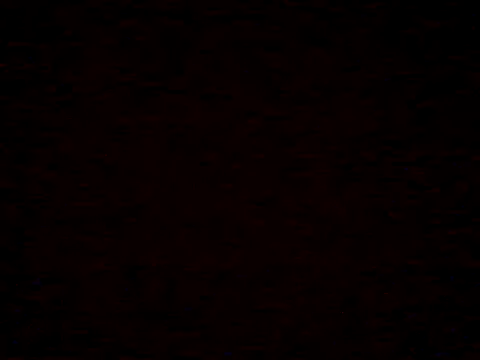  Daisy online show from 04/05/26, 07:20