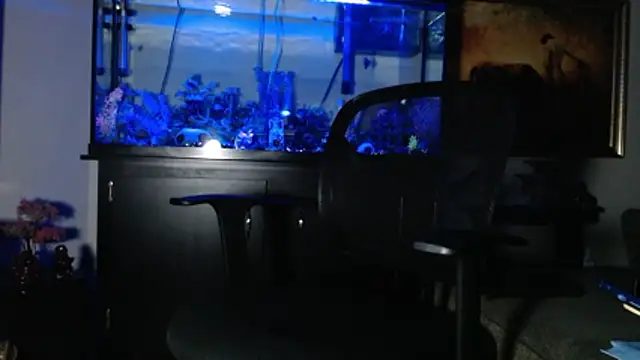 EspanolVato online show from 01/08/26, 12:55