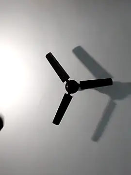 Sonali-6 online show from 02/14/26, 04:40