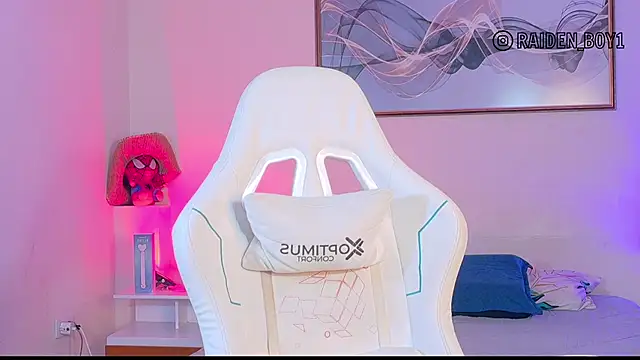 RaidenBoy11 online show from 01/09/26, 07:21