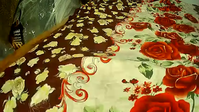 toty0007 online show from 04/17/26, 08:06