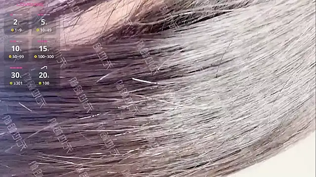 MeiMei-JiaJia online show from 01/06/26, 06:50