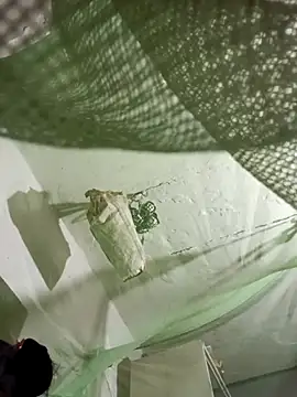 Jan 692 online show from 02/17/26, 02:58