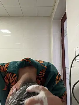 TOYOTA-01 online show from 02/07/26, 07:27