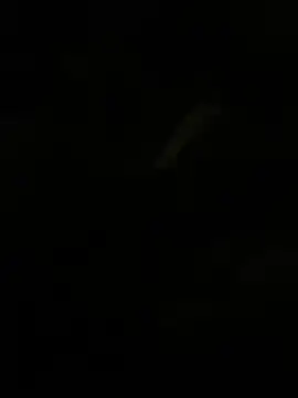 Snapshot of Herr_Snusk chatting on 07/01/26, 12:11 Herr Snusk online show from 07/01/26, 12:11