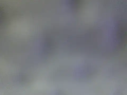 Minico25 online show from 03/29/26, 02:46