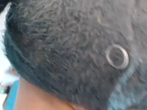 xmyriamx online show from 03/01/26, 02:17