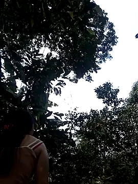 him220 online show from 03/02/26, 06:58