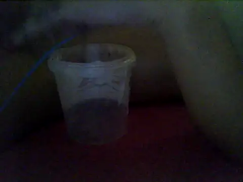 MorenaJapinha online show from 01/14/26, 11:58