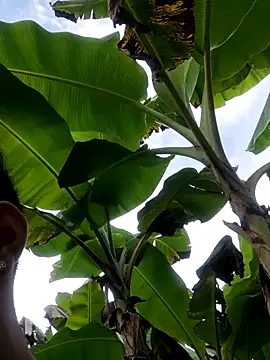 Wild and Sweets online show from 01/11/26, 07:54