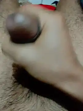 Haplis online show from 04/14/26, 12:26