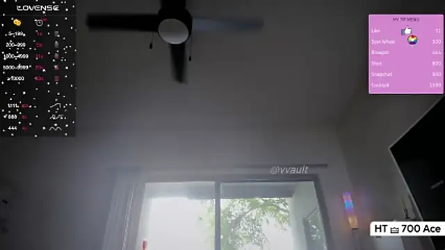 Vesagal online show from 04/16/26, 09:26