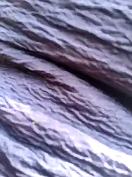 Queen chayna online show from 01/14/26, 06:39