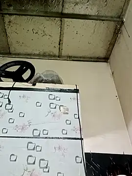 Sana-vn online show from 03/01/26, 12:21