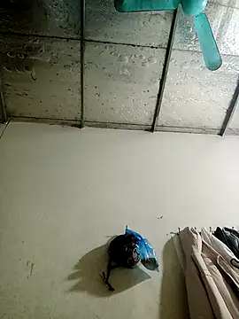 Sana-vn online show from 01/15/26, 01:47