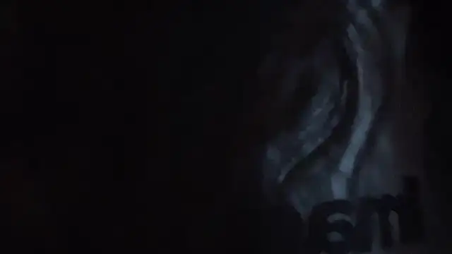 sunny-ly online show from 04/25/26, 01:41