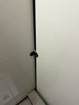 Johnlim880 online show from 01/10/26, 04:52