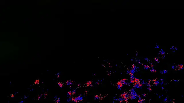 Snapshot of wolverinedream chatting on 04/20/26, 03:57 wolverinedream online show from 04/20/26, 03:57