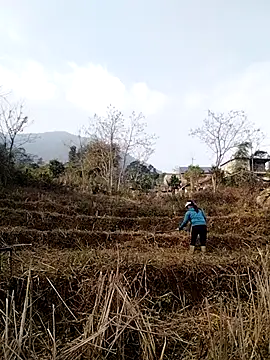 alycen online show from 01/13/26, 02:37