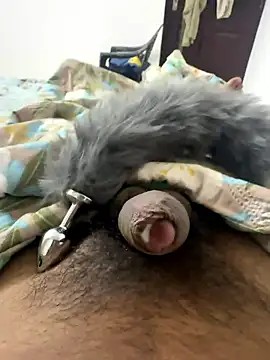 Indian slave dog online show from 01/18/26, 01:53