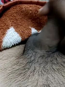  chota bunny  online show from 02/22/26, 07:55