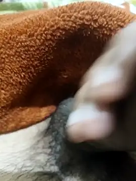  chota bunny  online show from 02/03/26, 07:57